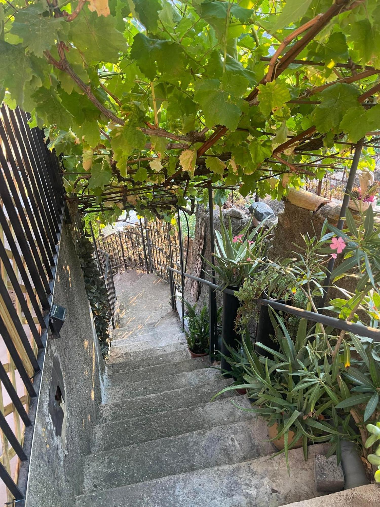 福扎格鲁The Secret Garden别墅 外观 照片